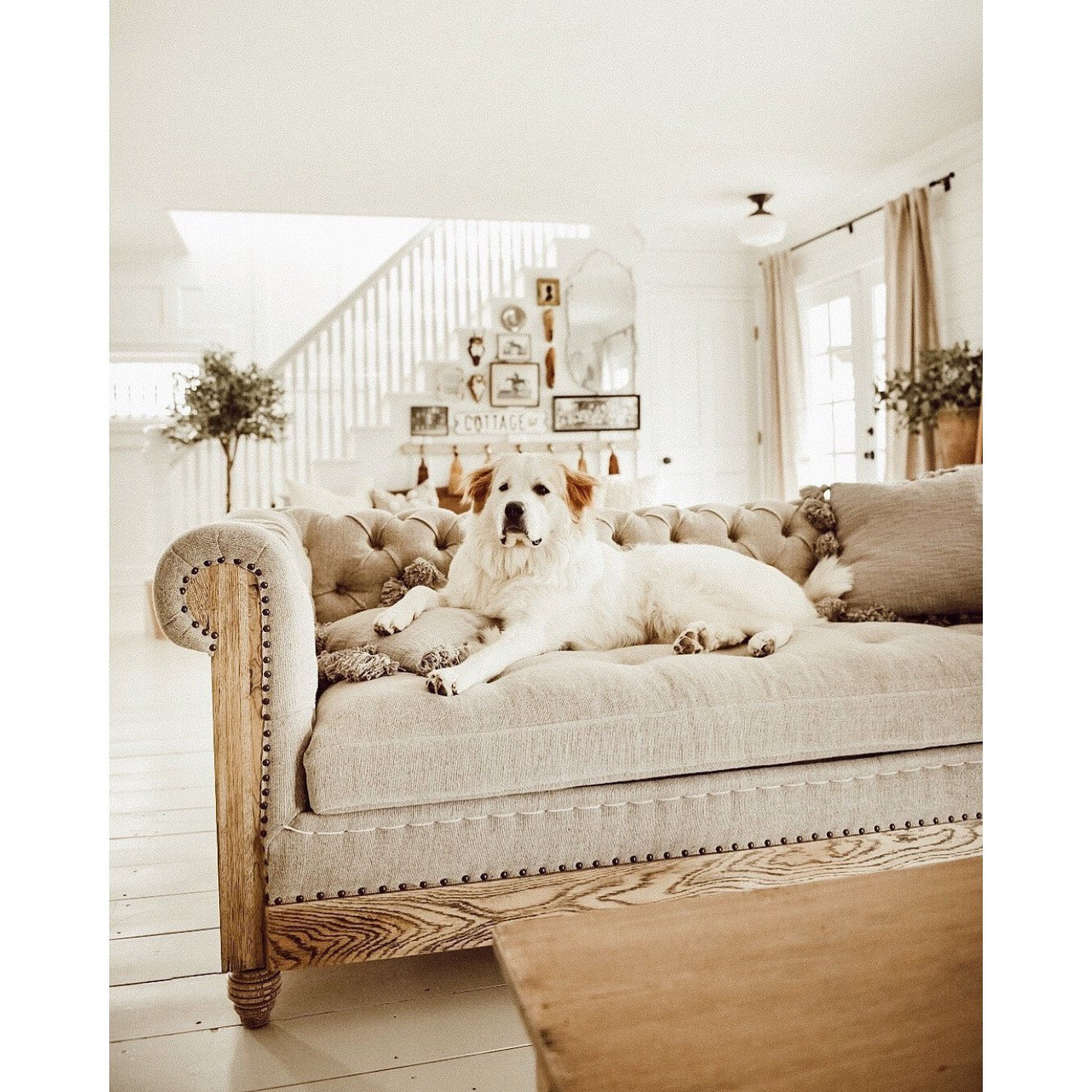 Park Hill Collections Country French Hillcrest Tufted Sofa  - EFS81664
