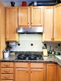 Proline Low Profile Under-Cabinet Range Hood, Ducted, 900 CFM, Modern design Stainless Steel Finish Proline - PLJW 125