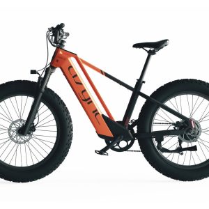 Cyrusher Model   L5   |   52V20Ah High-Performance E-Bike | 750W 20Ah